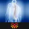 Cervical Spine
