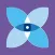 Iris - Video Analytics