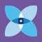 Iris - Video Analytics