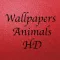 Wallpapers Animals HD - خلفيات حيوانات
