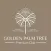 Golden Palm Tree Premium Club