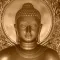 Buddha Quotes+