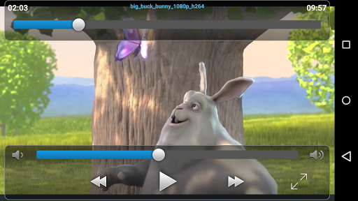 VLC Streamer Screenshots