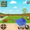 Find Digging Challenge 3D