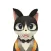 Cat's Gallery