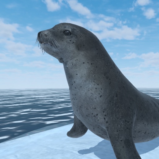 Seal Island Seal Island