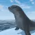 Seal Island