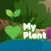 My Plant