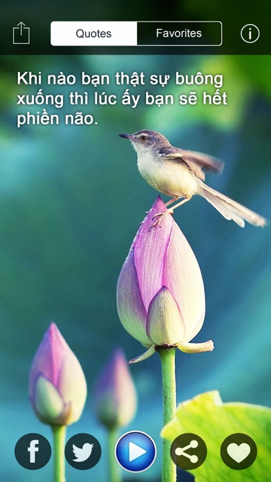 Phật Ngôn - Danh Ngôn Và Nhạc Phật Giáo Hay Nhất Cho Phật Tử Screenshots