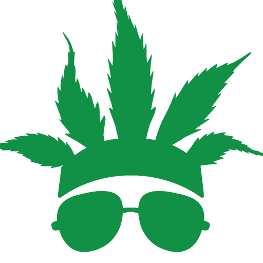 CannaBuzz