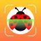 Insect ID Bug Identifier