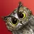 Rotate the Owl