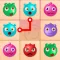 Twin Pet Connect 2 Fancy Card