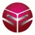 SVLPlayer