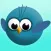 Nag Nag Bird