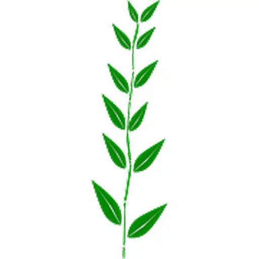Bamboo Plant Sticker Pack Bamboo Plant Sticker Pack
