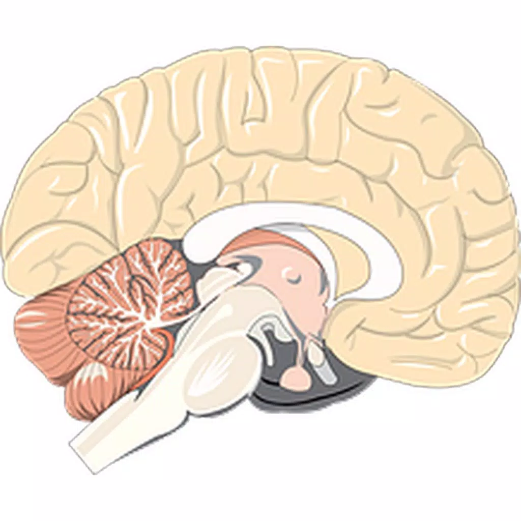 Brain Sticker Pack!