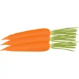 More Carrot Stickers