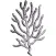 Corals Sticker Pack