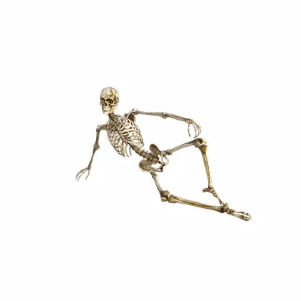 Skeleton Sticker Pack! Skeleton Sticker Pack!