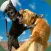 Wild Angry Dog Fighting Sim 3D