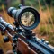 Hunting Sim Fps Shooting Game