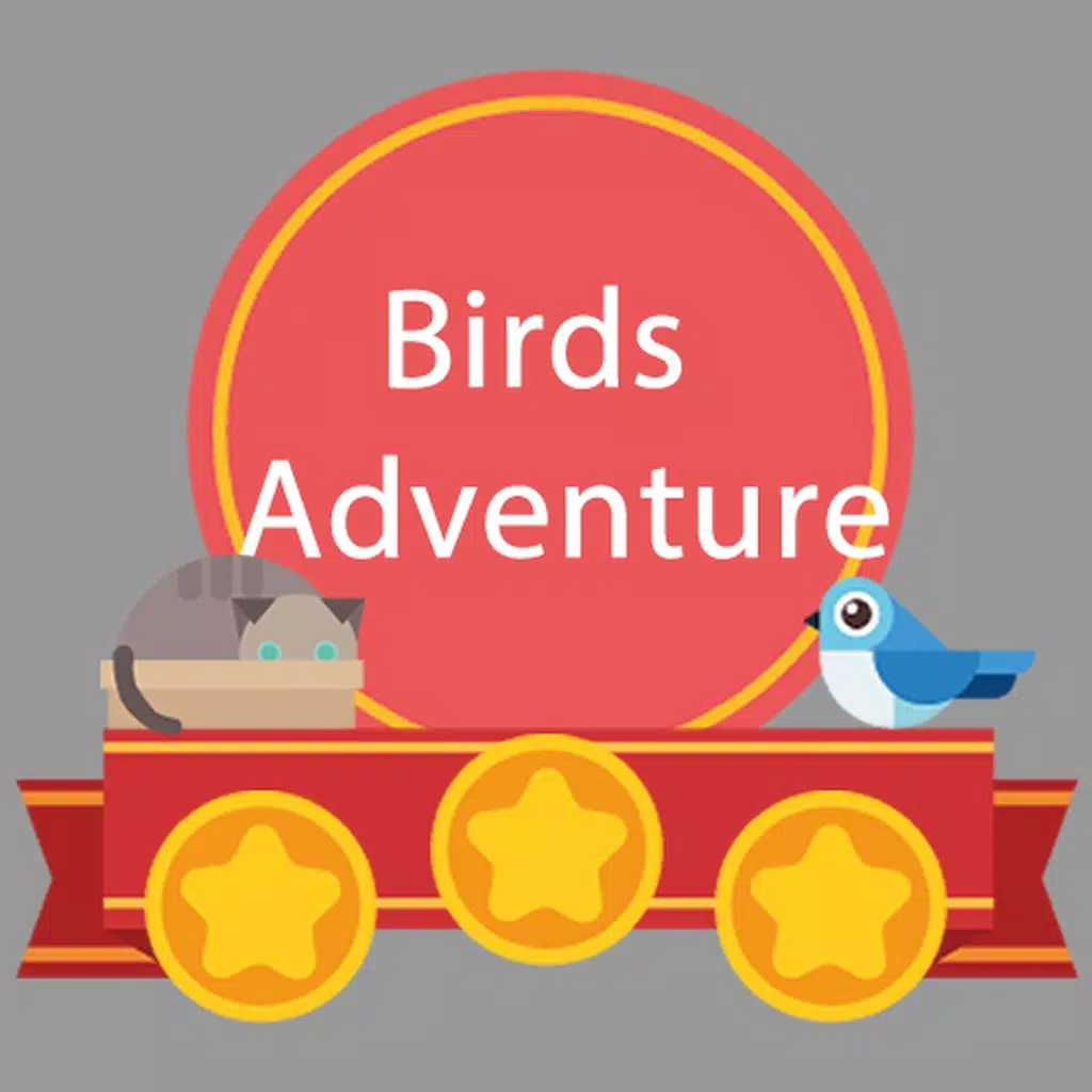Birds Crazy Adventure