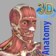 3D Anatomy 3D Anatomy