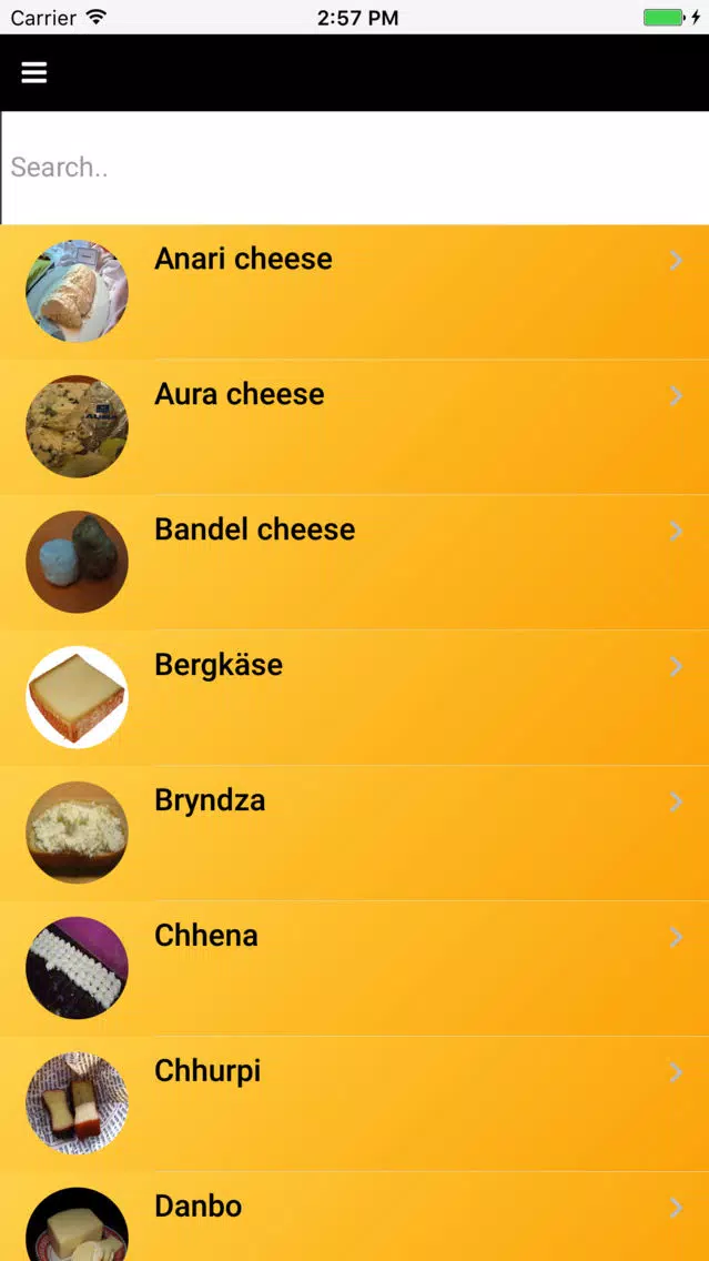 Cheese Types: Varieties of Cheese Ekran Görüntüleri