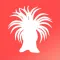 Coral Species: Types of Coral
