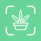 植物识别-细致拍照识物花鸟鱼虫