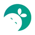 Flower Care Flower Care