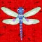 My Little Insect Jigsaws