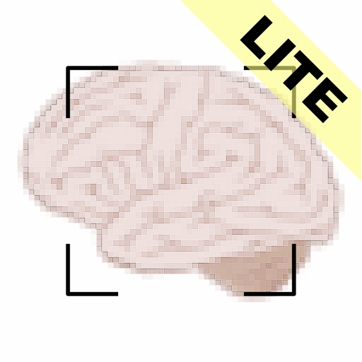 ML Image Identifier Lite ML Image Identifier Lite
