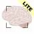 ML Image Identifier Lite