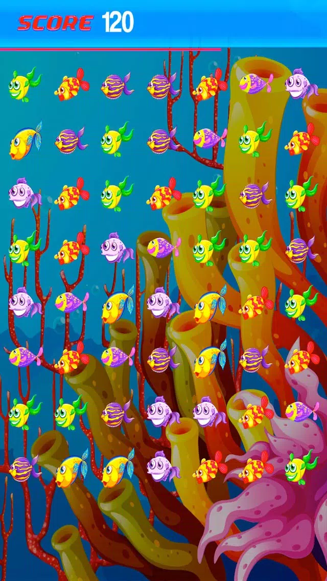 Hungry Fish Feed Mania Match 3 Fat Evolution 2014 - Free HD Saga Edition Screenshots