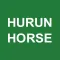 胡润马道 Hurun Horse