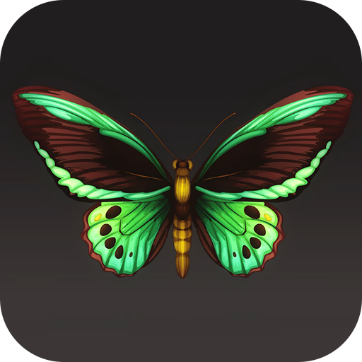 Butterfly Wallpaper 2024