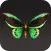 Butterfly Wallpaper 2024