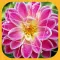Jigsaw Puzzle - Flower
