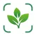 The Plant Identification App