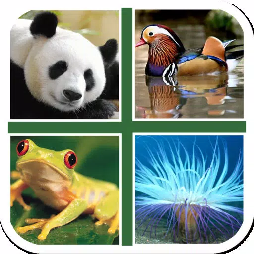 Puzzle & Guess Animal Puzzle & Guess Animal