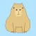 Cute Capybara Expressions