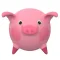 FloatingPig