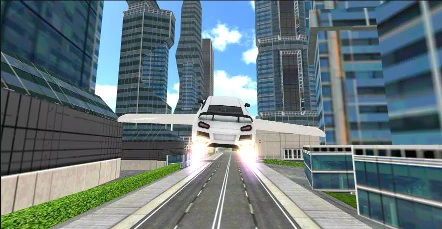 Flying Car Sim Screenshots
