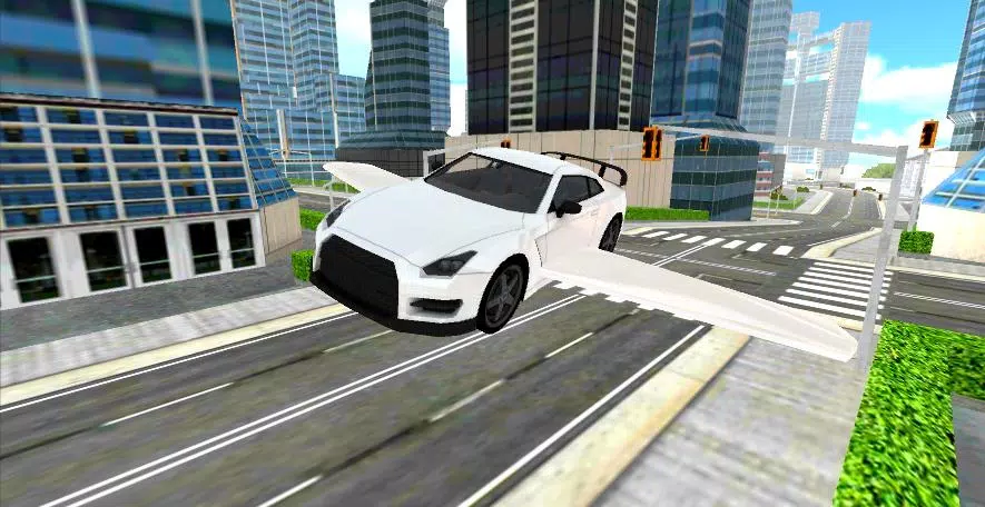 Flying Car Sim Screenshots