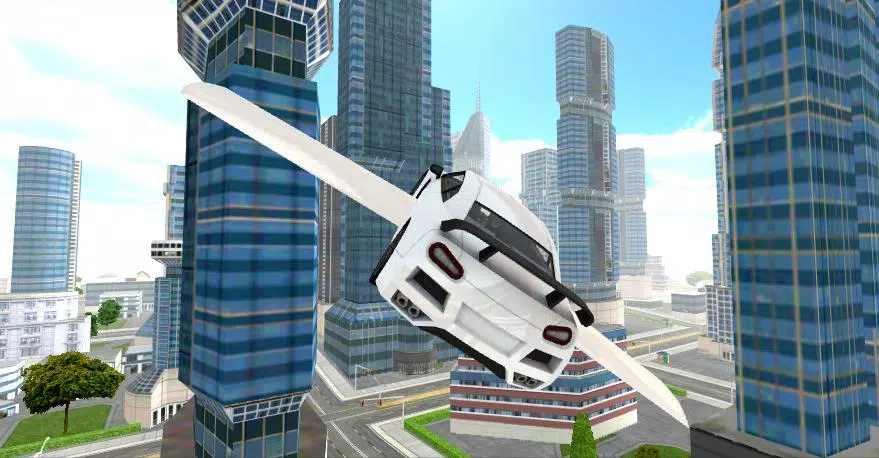 Flying Car Sim Screenshots