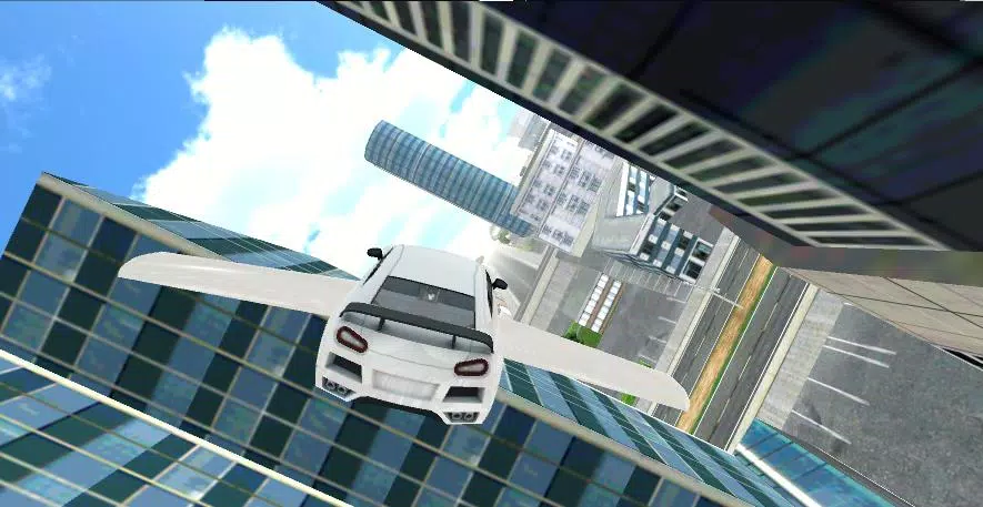 Flying Car Sim Screenshots
