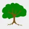 Pro Football Coaching Tree