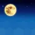 Weather Forecast(World)